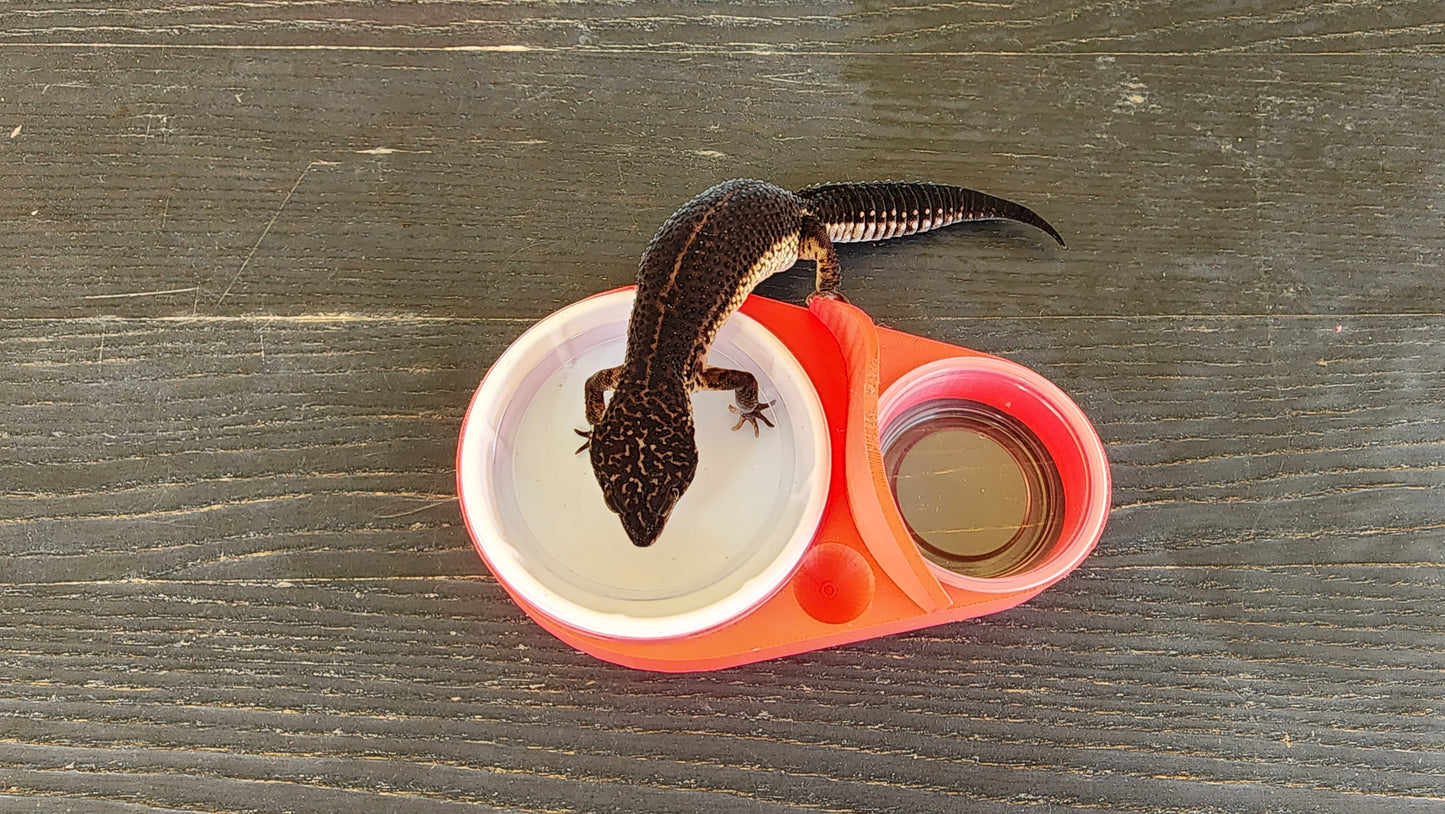 Strawberry Red Leopard Gecko humid hide, dry hide, food bowl, calcium, & water dish combo