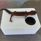 Ash Grey Leopard Gecko humid hide
