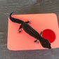 Strawberry Red Leopard Gecko humid hide