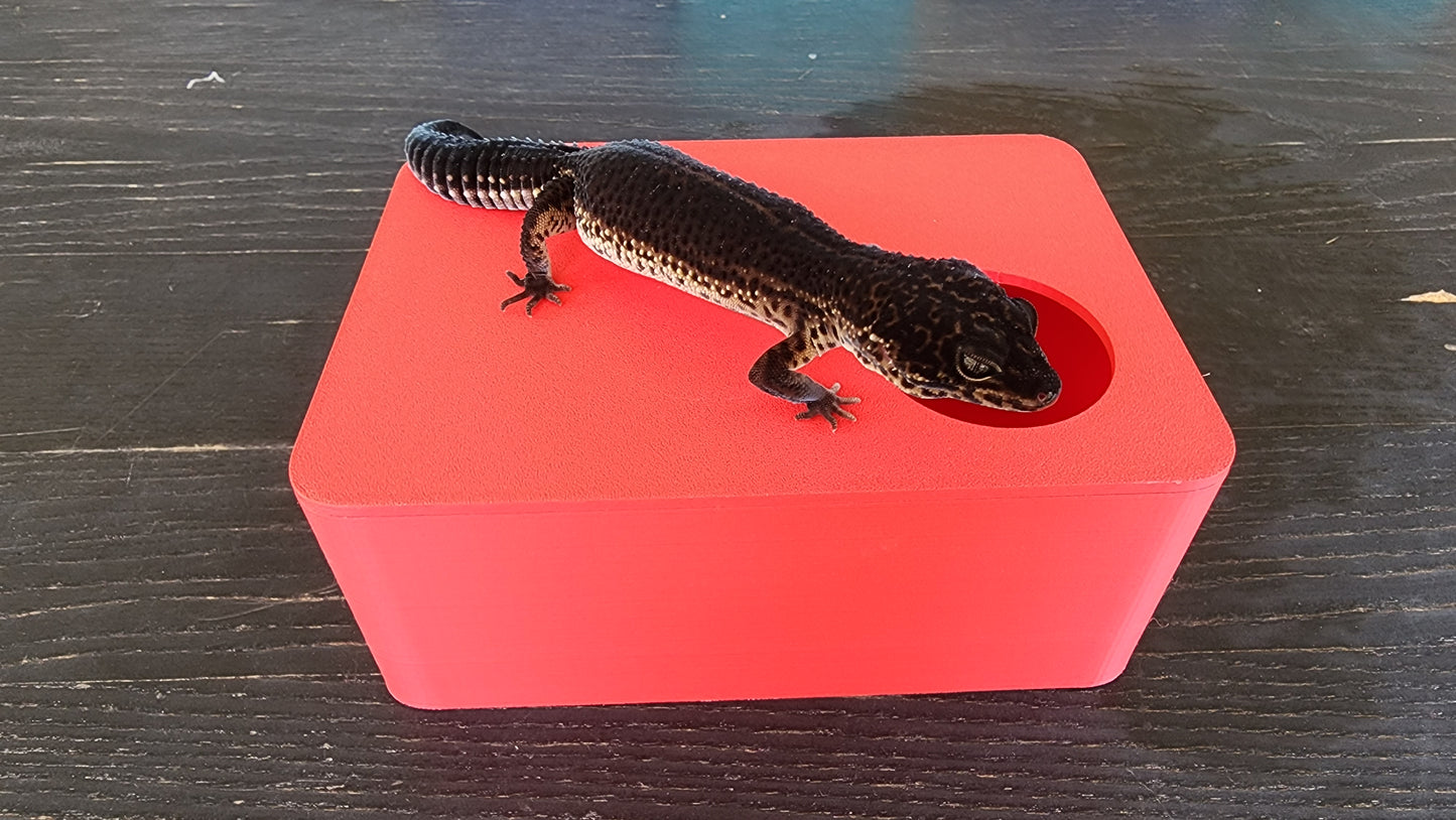 Strawberry Red Leopard Gecko humid hide, dry hide, food bowl, calcium, & water dish combo