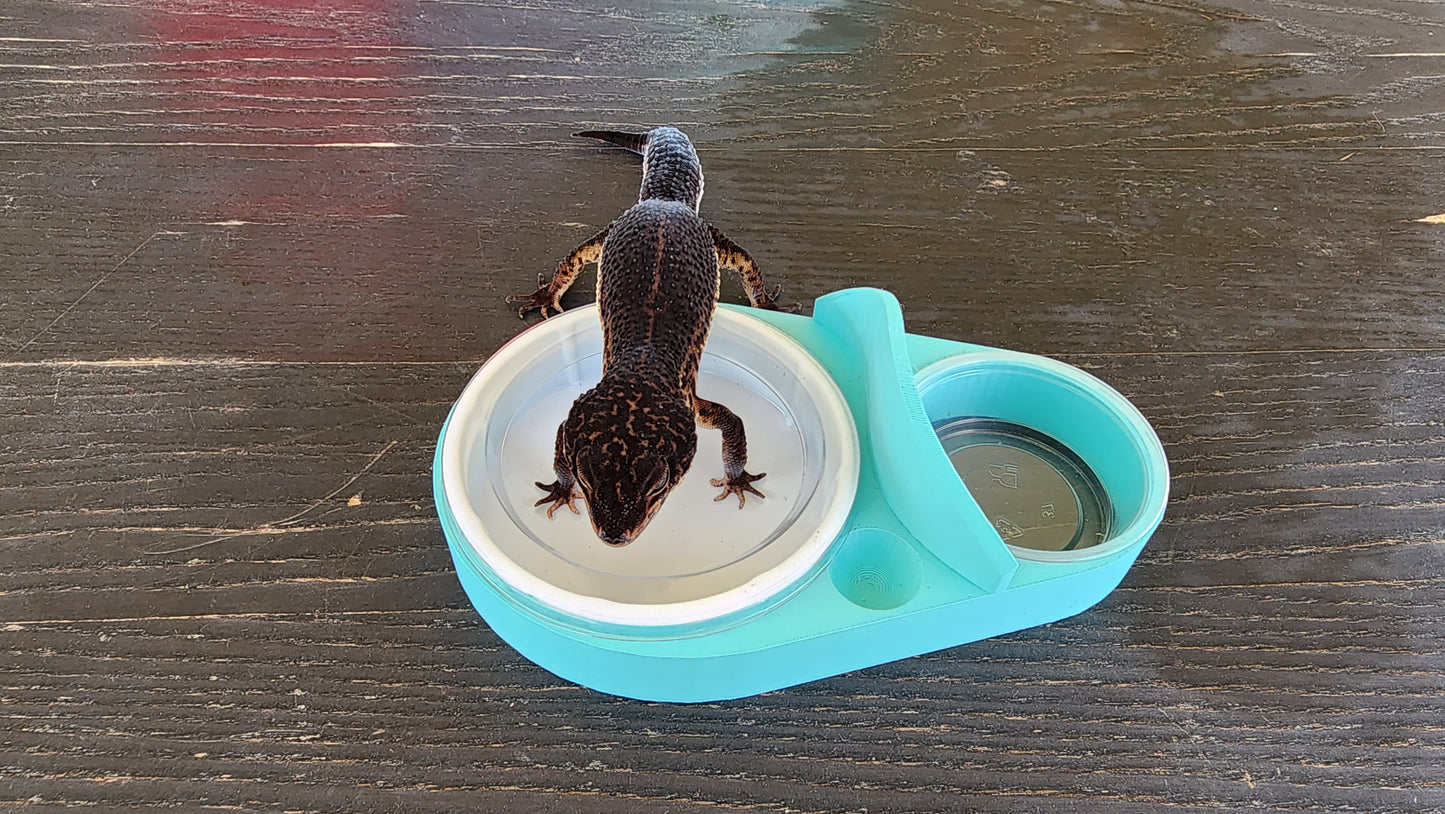 Sky Blue Leopard Gecko humid hide, dry hide, food bowl, calcium, & water dish combo
