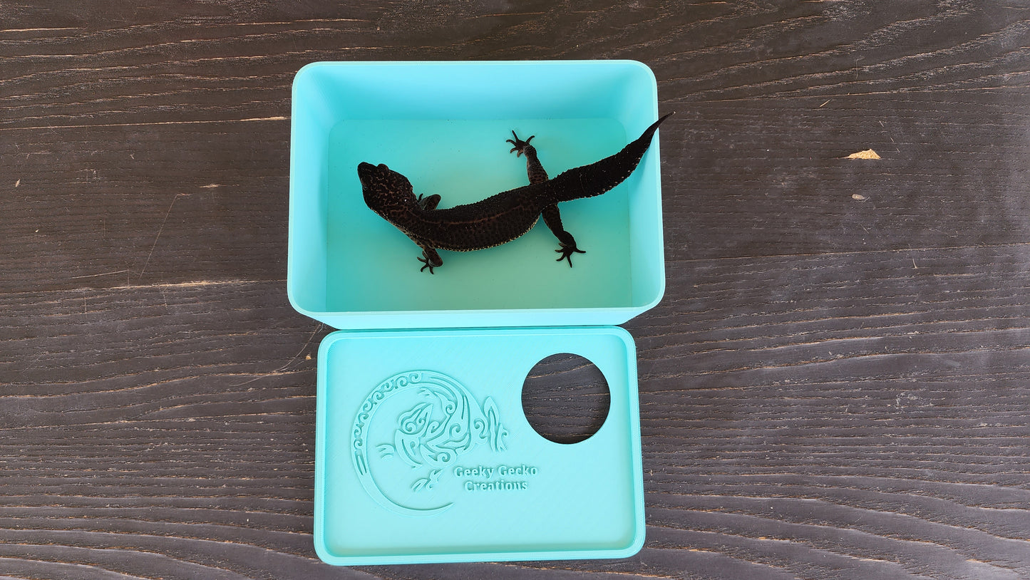 Sky Blue Leopard Gecko humid hide, dry hide, food bowl, calcium, & water dish combo