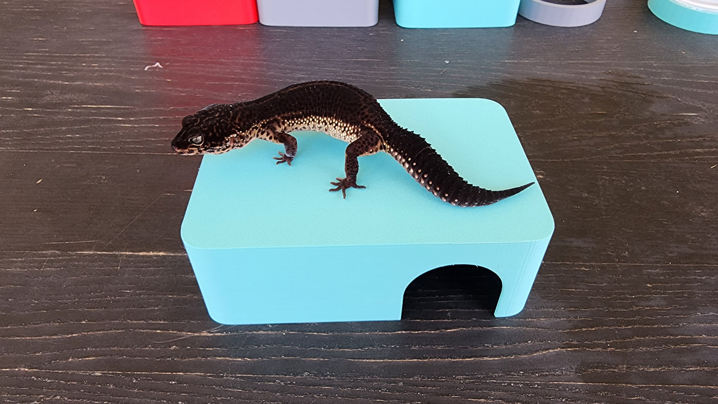 Sky Blue Leopard Gecko humid hide, dry hide, food bowl, calcium, & water dish combo
