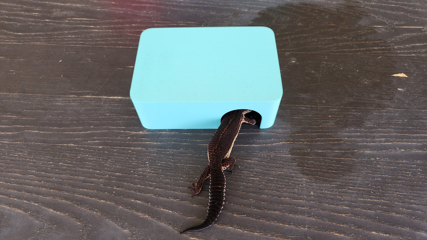 Sky Blue Leopard Gecko humid hide, dry hide, food bowl, calcium, & water dish combo