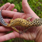Female Hyper Xanthic Bold Eclipse Leopard Gecko (Crinkled Eyelid)