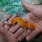 Female Mandarin Inferno Tangerine Leopard Gecko (Generation 2)