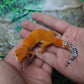 Female Mandarin Inferno Tangerine Leopard Gecko (Generation 2)